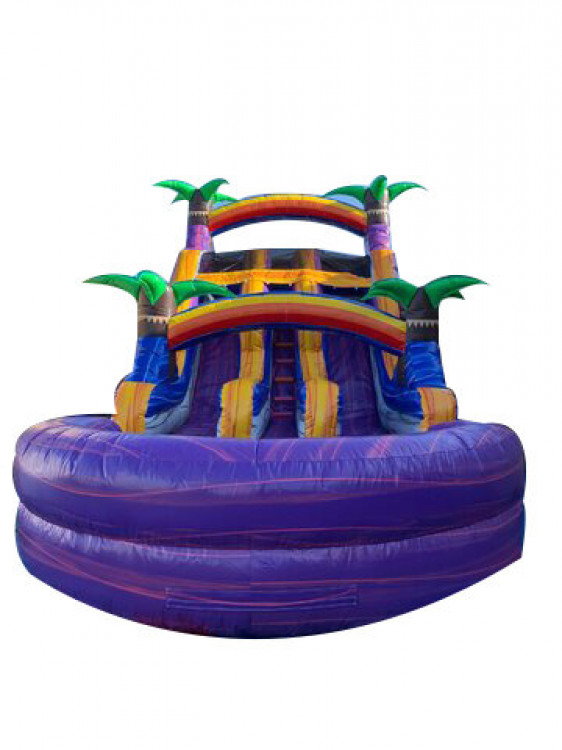 Purple Tropical Double Lane Water Slide with Pool