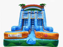 Tropical Double Lane Splash Slide Wet or Dry