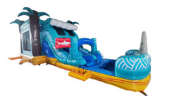 090ad5f62f7ed3fe113f95230d9fe728 1772655988 Shark Combo