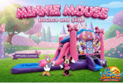 Minnie Mouse Combo