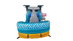 dff6a356d315b6c77a3ff32951f85f48 1772655988 Shark Combo